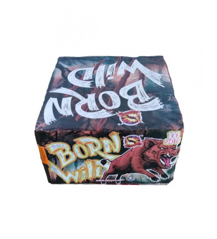 Born wild 100 ran 25mm